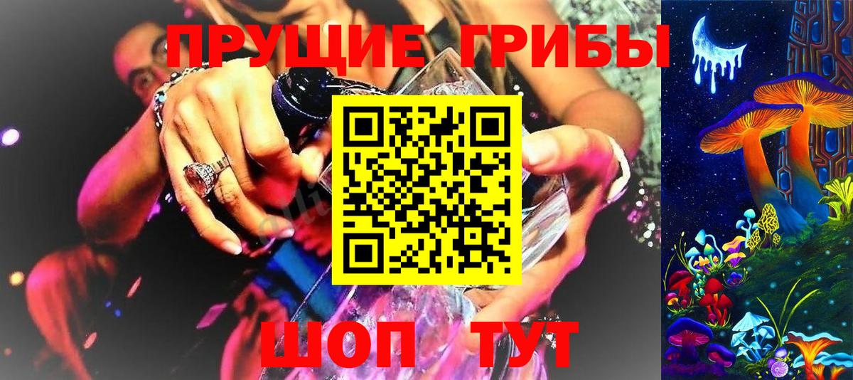 Корсаков  Галлюциногенные грибы Cubensis  Вход с VPN 